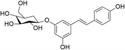 Polydatin ameliorates early brain injury after subarachnoid hemorrhage through up-regulating SIRT1 to suppress endoplasmic reticulum stress